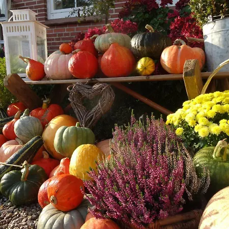 Hansenhof Appartement *