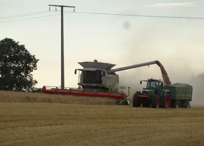 Hansenhof Apartamento