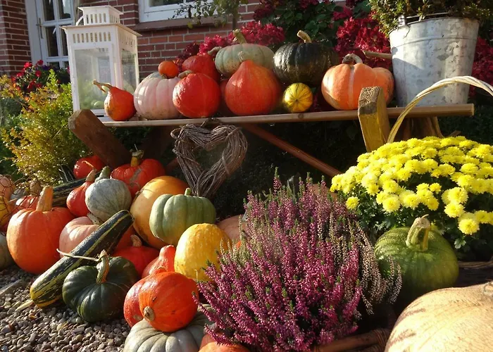 Hansenhof Apartamento *